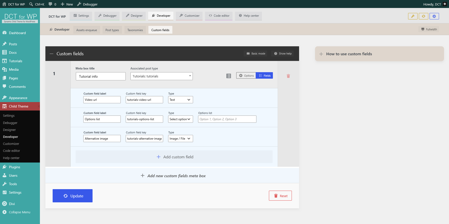 DCT Developer - Custom fields